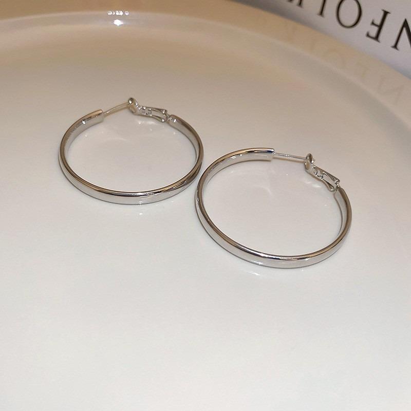 Silver Needle Autumn and Winter Metal Earrings Earrings Niche Fashion Cold Wind Earrings Versatile Light Luxury Premium Earrings