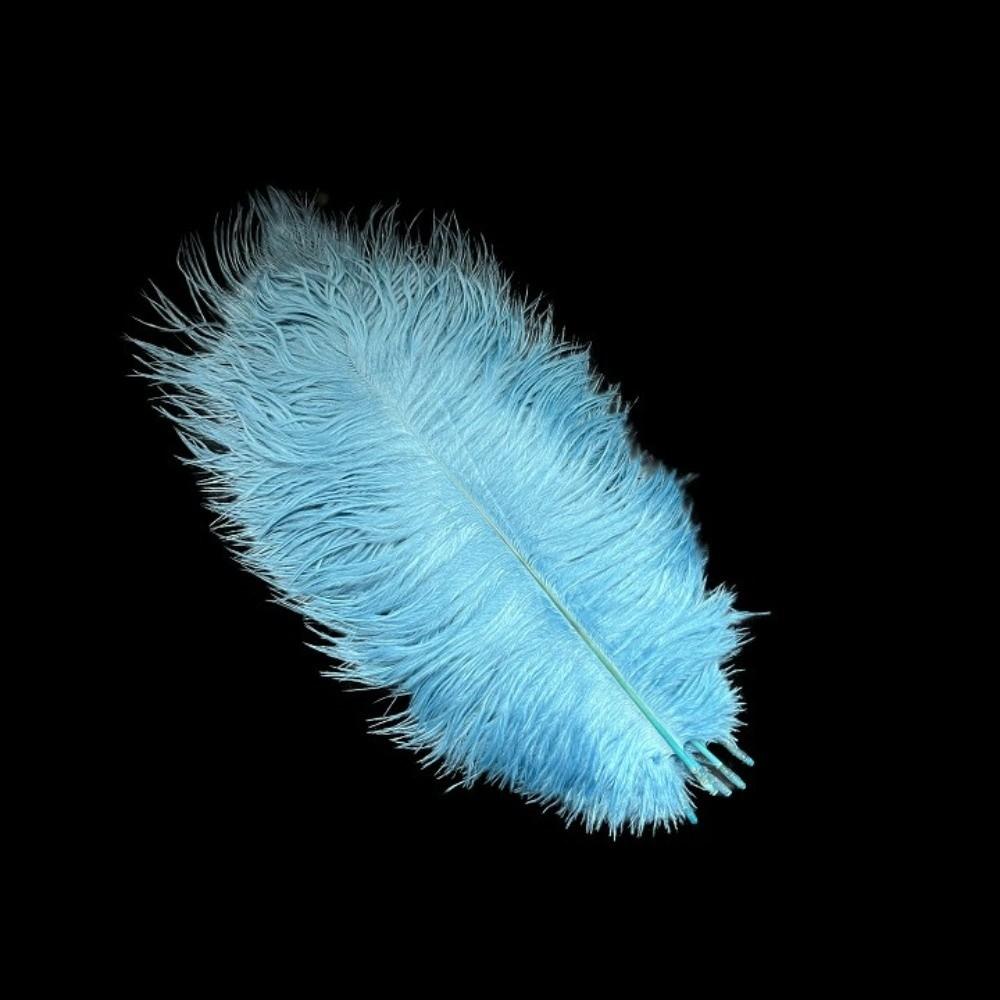 10Pcs Stage Props Ostrich Feathers 15-20cm Colored Ostrich Feathers  Home Decoration