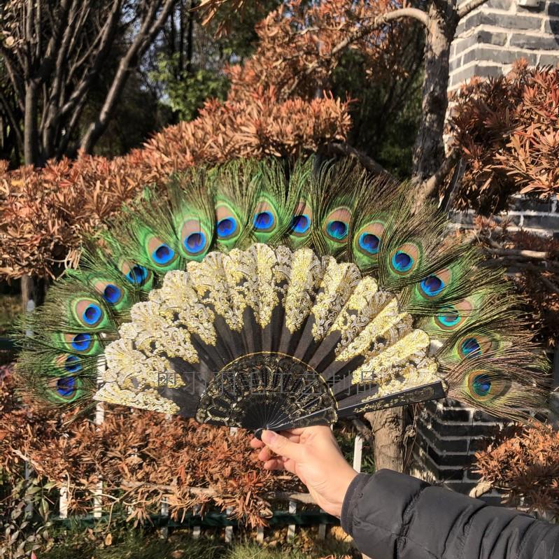 Victorian Gothic Folding Fan with Peacock Feathers and Roses for Photo Props Lolita Fashion Wedding Decor Halloween Costume