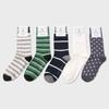 Pound Socks 5SET