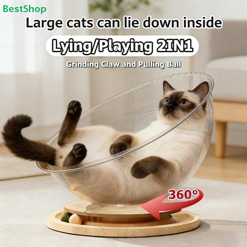42cm Transparente Katzenliege, Rotierendes Katzenbett mit Interaktiven Spielzeugbällen für Mittlere Katzen