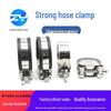 Ally Stainless Steel Strong Hose Clamp