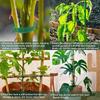 10/50/100/200pcs Reusable Adjustable Non-Slip Nylon Plant Ties with Hook and Loop Fasteners, Ideal for Gardening Applications