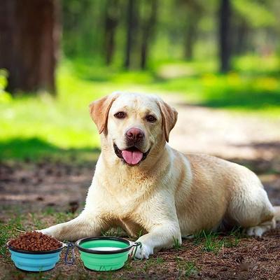 Köpek – Köpek Besleme ve Sulama Malzemeleri