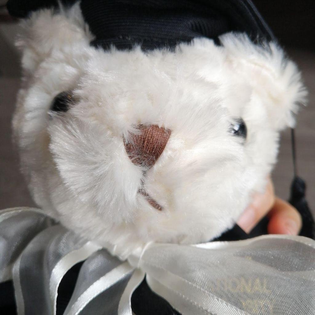 [USED] Extremely Rare Seoul National University Graduation Commemorative Teddy Bear