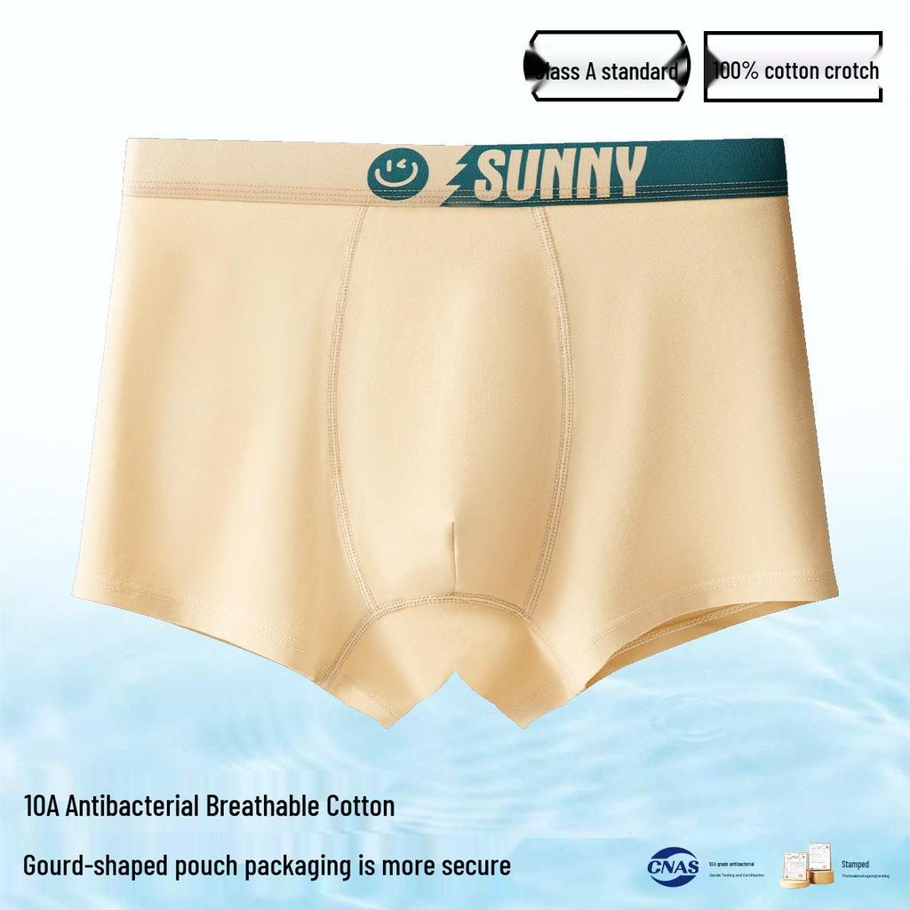 Men's Plus Size 100% Cotton Antibacterial Boxer Briefs