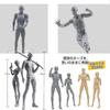 Sketch Doll 30-Jointed Posing Male and Female Models with Base for Cartoon Art Expression Muscle Sketch Model Figure Painting Practice Art Education P