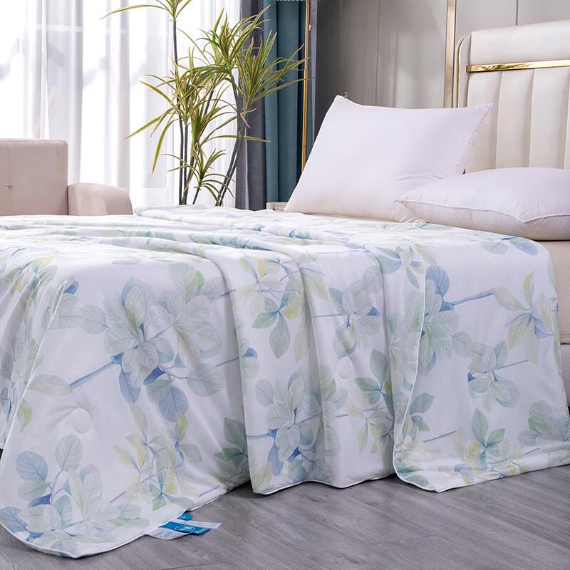 LISM Cool Silk Summer Quilt