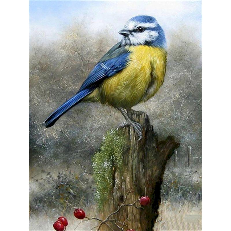 GATYZTORY Malen nach Zahlen für Erwachsene Spatzenvogel Tier Einzigartige Geschenke Ölfarbe Malerei auf Leinwand Gerahmte Wandkunst Handwerk
