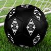 Borussia Indoor Soccer Ball Colorful Machine Stitched PVC Size 5 Team Training Competition Ready Durable High-Bounce Cool Sports Gift