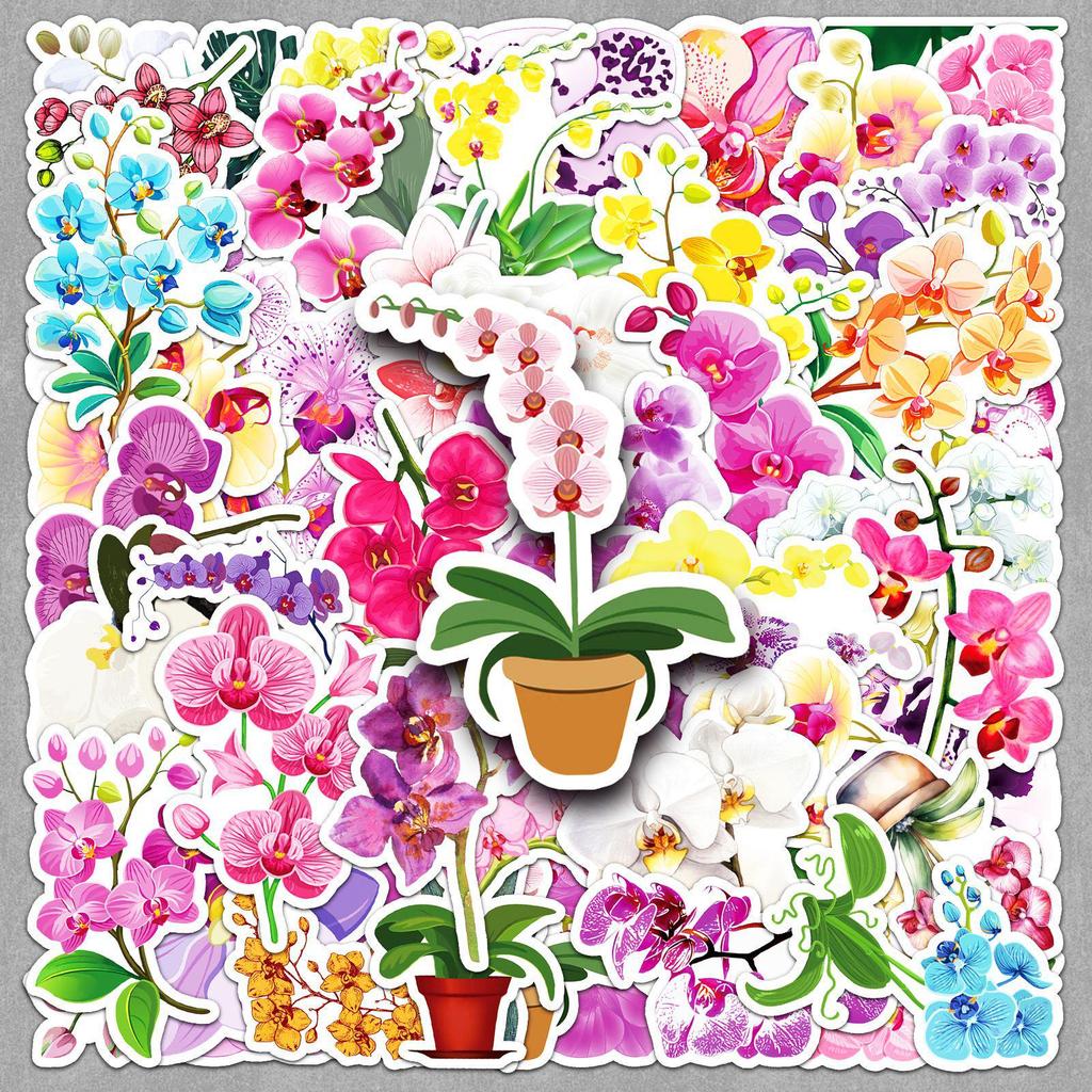 50 Orchid Stickers - Cute Q Version Plant Designs for DIY Crafts, Journals, and Computer Decoration