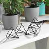 4 Pcs Avocado Seed Starter Rack Triangular Metal Bracket Avocado Growing Triangular Holder for Mason Jar of Wide-Mouth