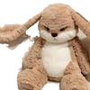 Adorable Diudiu Rabbit Plush Toy - Cuddly Bedtime Companion