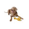 Perros – Juguetes para perros
