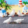Ev Dekoru – Dekoratif Terraryumlar