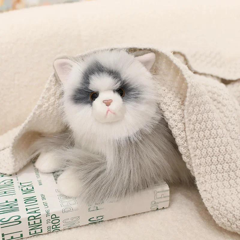 Kawaii Simulation Ragdoll Cat Plush Toy Soft Stuffed Kitten Cute Animals Home Decor Accompany Sleep Toy for Kids Birthday Gifts