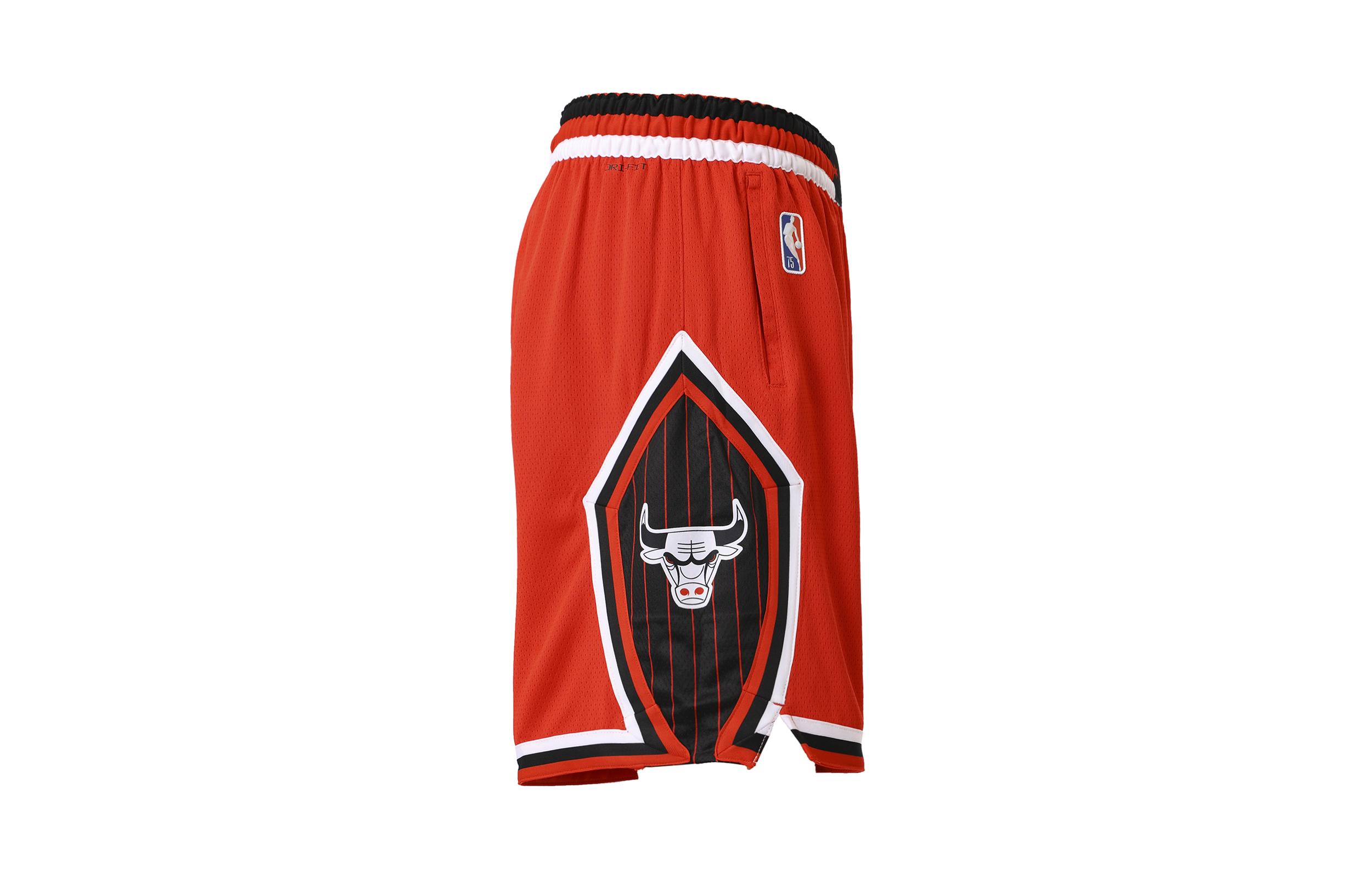 Шорты Nike NBA Chicago Bulls City Edition Dri-FIT Swingman DB4129-657 L