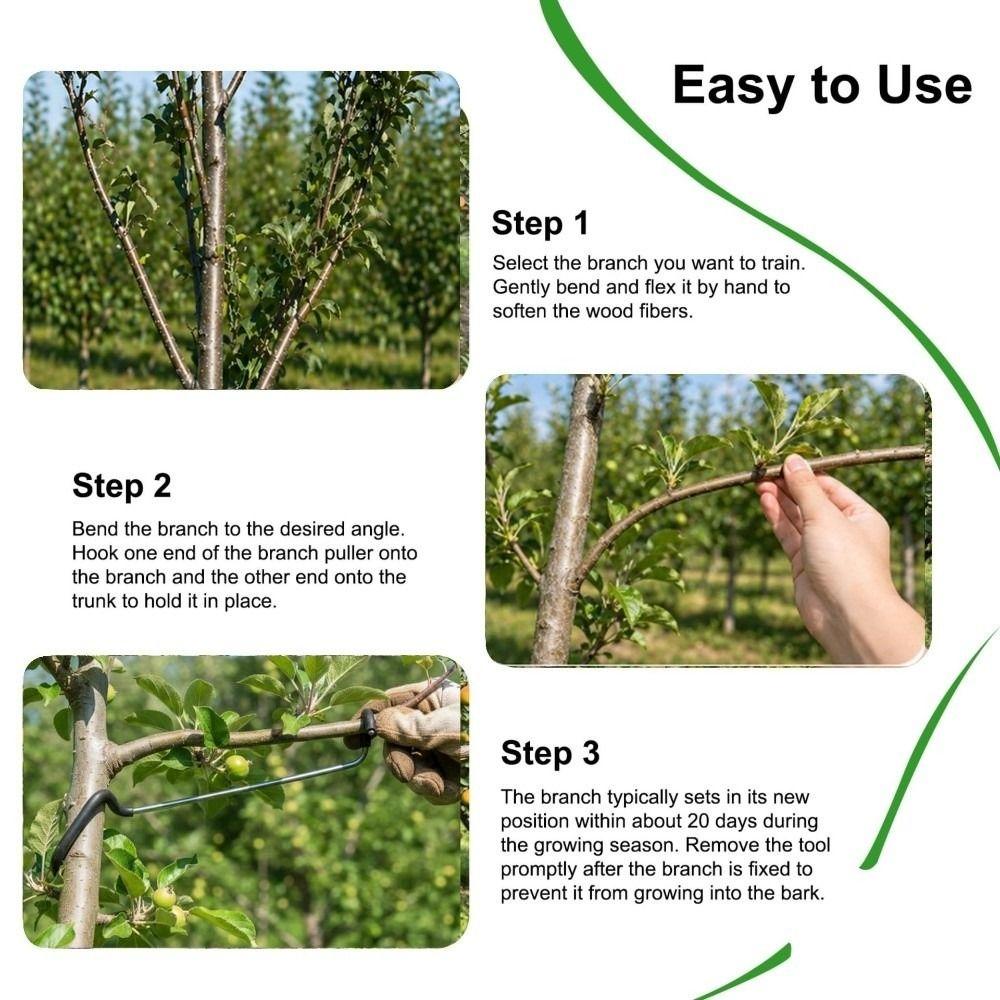 10 PCS Rubber Hooks Branch Bender Metal Tree Branch Spreader Tree Shaping Limb Spreader  Fruit Trees