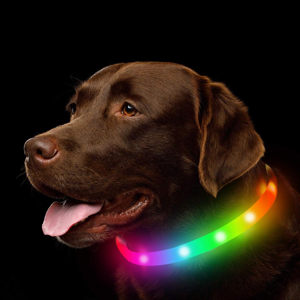 1 ADET Silikon Led Köpek Tasması Usb Şarj Edilebilir Işıklı Köpek Tasması Anti-Kayıp/Araba Kazası Güvenliği Evcil Hayvan Işık Tasması Köpek Aksesuarları için