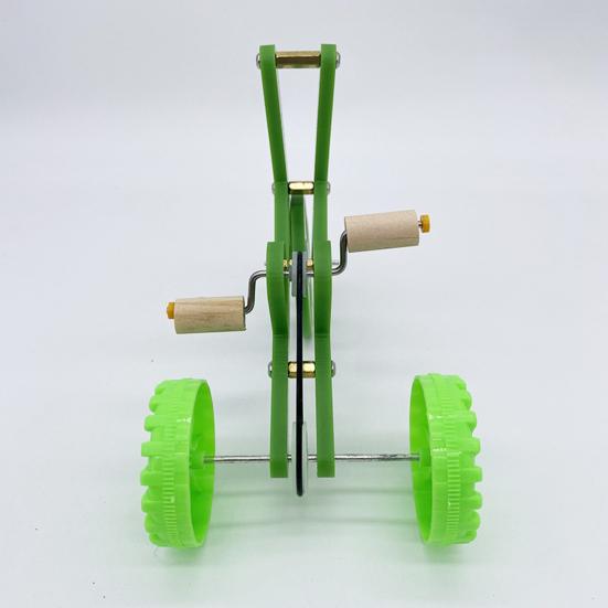 Parrot Training Bicycle, Funny Parrot Bike Training Toy, Creative Green Parrot Training Bike for Birds Intelligent Development