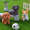 12pcs Figurines Miniatures Cute Simulation Dog Pomeranian Micro Landscape Ornaments Home Decoration Room Decor Desk Accessories