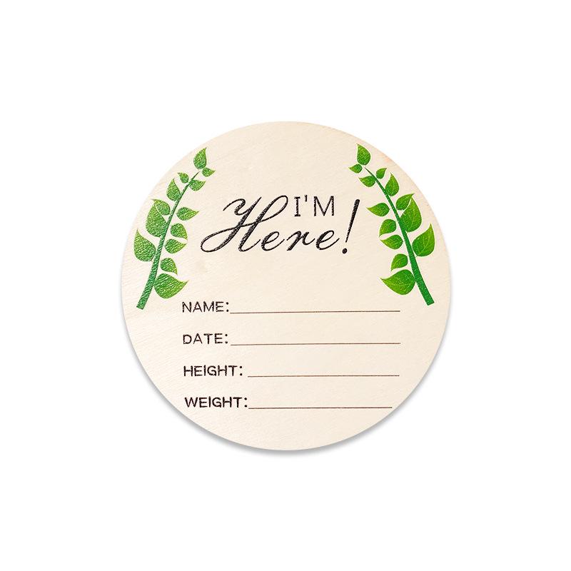 Wooden Baby Milestone Month Marker Photo Prop - DIY Round Plaque Set
