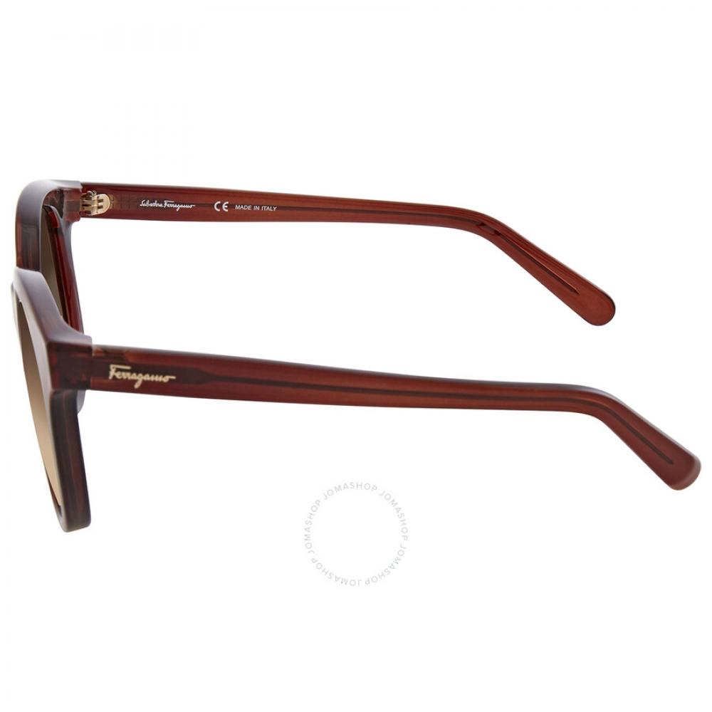 Ferragamo Brown Gradient Teacup Ladies Sunglasses Sf833s 210 53