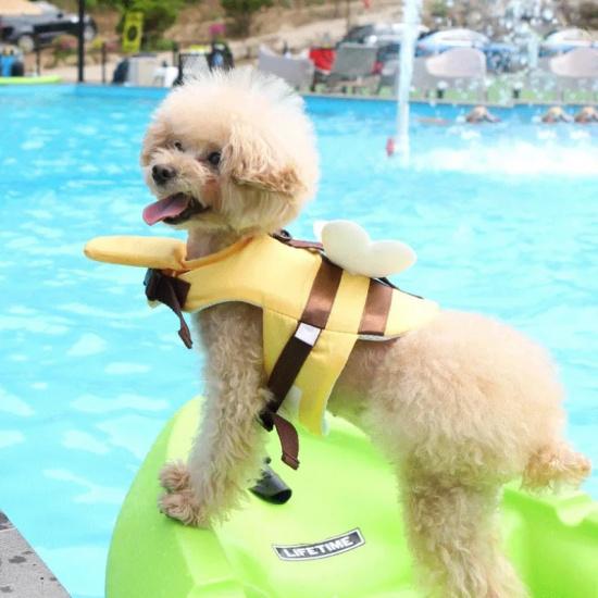 Summer Little Bee Hunde-Badeanzug, wasserdicht, für Welpen, Schwimmweste, atmungsaktive Hundekleidung, Geschirr, Schwimmsicherheit für Hunde, Haustierbedarf
