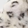Snowy Leopard No.5409