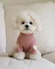 Autumn/Winter Heart Embroidery Hoodie for Teddy, Pomeranian, Bichon, & Small Dogs/Cats