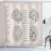 Menschlicher Körper Duschvorhang Illustration Badezimmer Dekor, Wissenschaft Menschliche Anatomie Duschvorhänge, Skelett Schädel Stoff Badezimmer Set