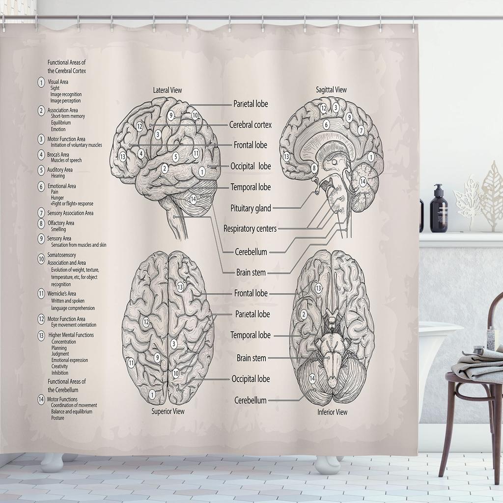 Menschlicher Körper Duschvorhang Illustration Badezimmer Dekor, Wissenschaft Menschliche Anatomie Duschvorhänge, Skelett Schädel Stoff Badezimmer Set