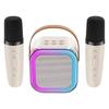 Wireless Bluetooth Karaoke Speaker Set with Microphone for KTV