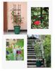 Free Shipping Clematis & Rose Climbing Frame Plant Support