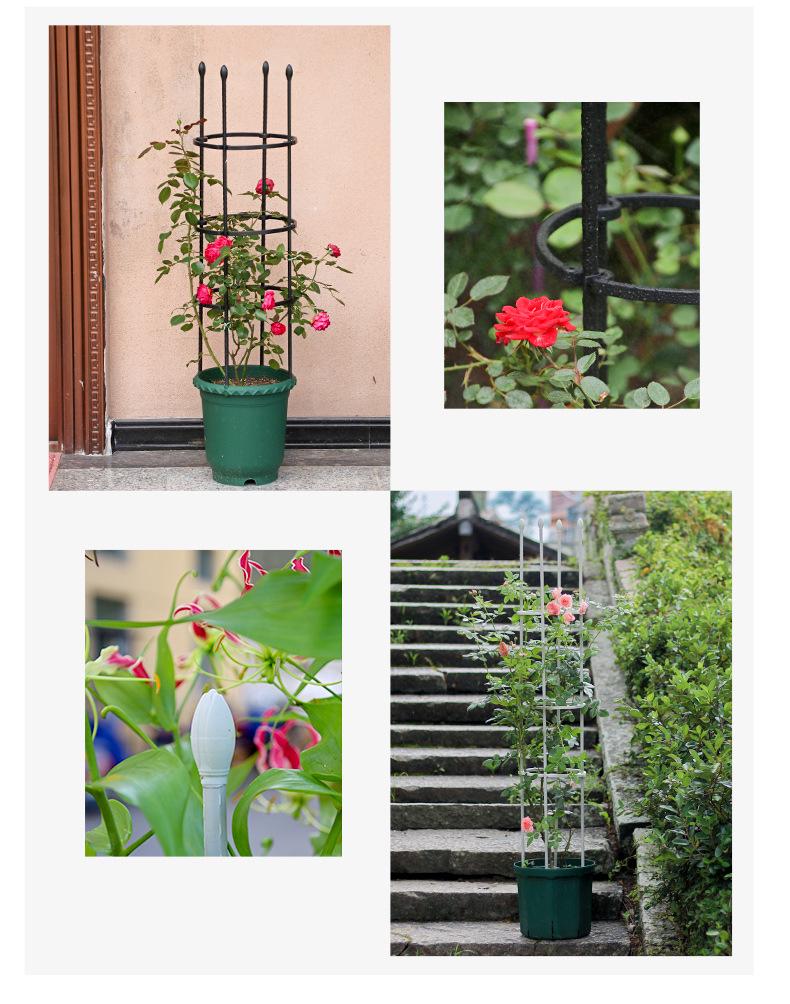 Free Shipping Clematis & Rose Climbing Frame Plant Support