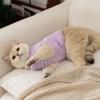 Autumn and Winter Cat New Two-legged Sweater German Cat Hairless Cat Clothes Pet Clothes Cat