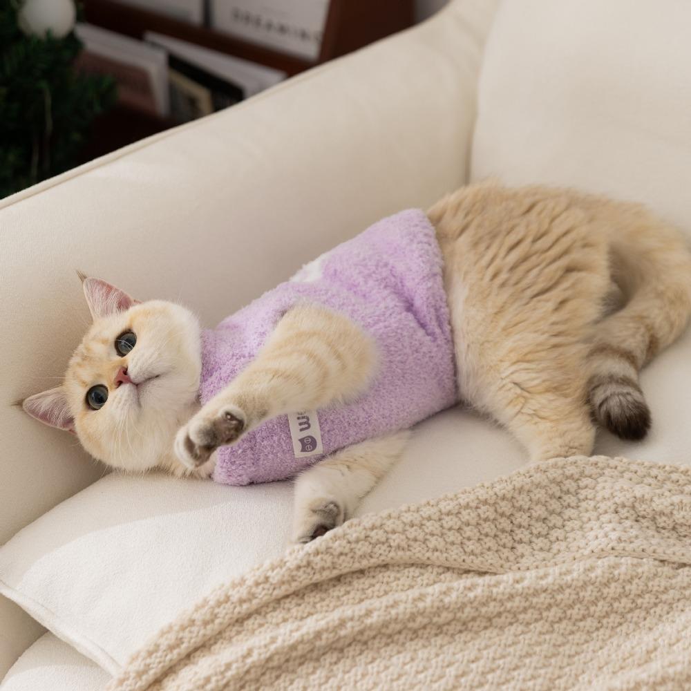 Autumn and Winter Cat New Two-legged Sweater German Cat Hairless Cat Clothes Pet Clothes Cat