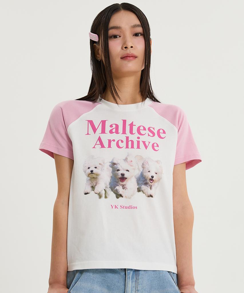 WAIKEI Maltese Archive Raglan Short Sleeve T-Shirt Light Pink