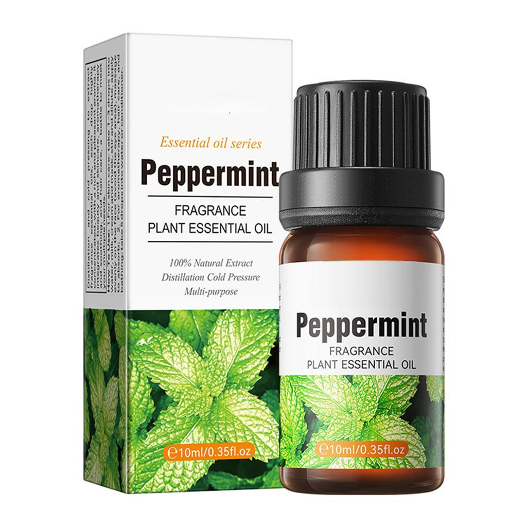 Body Scent Essence Oil, 10ml Moisturizing Care for All Skin Types, Daily Use Fragrance for Women Men, Luxurious Feel