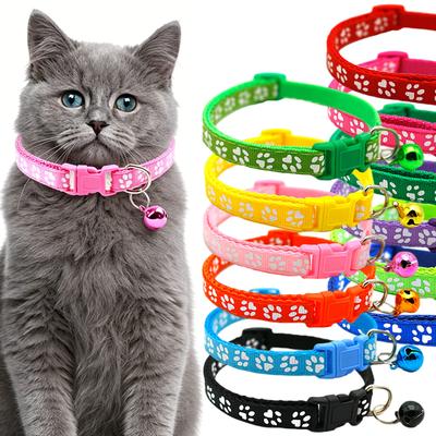 Perros – Collares y correas