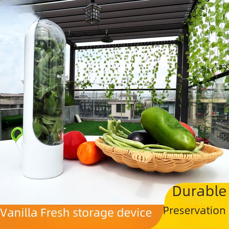 Eco-Friendly Fresh-Keeping Herb and Vegetable Box with Anti-Crush Technology for Coriander