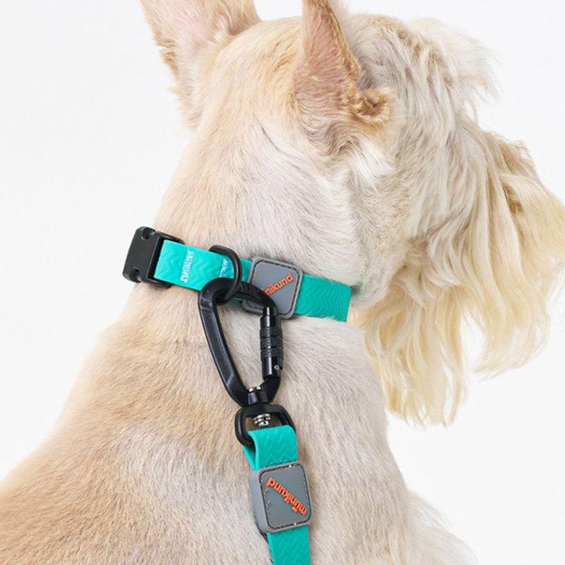 MUNIKUND Water-Block Collar Green