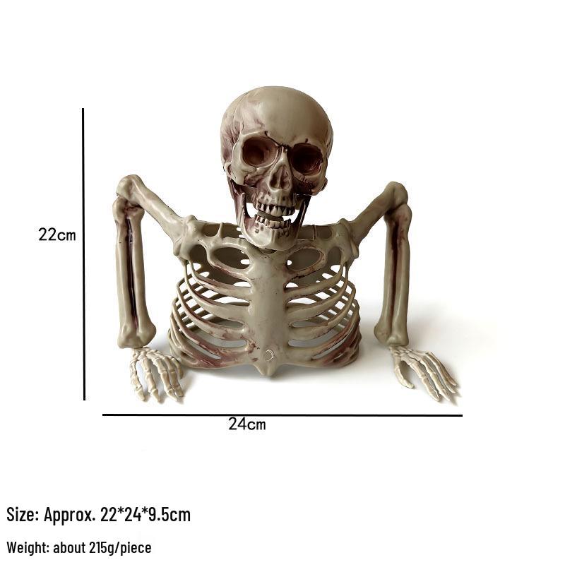 Halloween Skeleton Bust: Haunted House & Escape Room Prop Ornament 24x22 cm