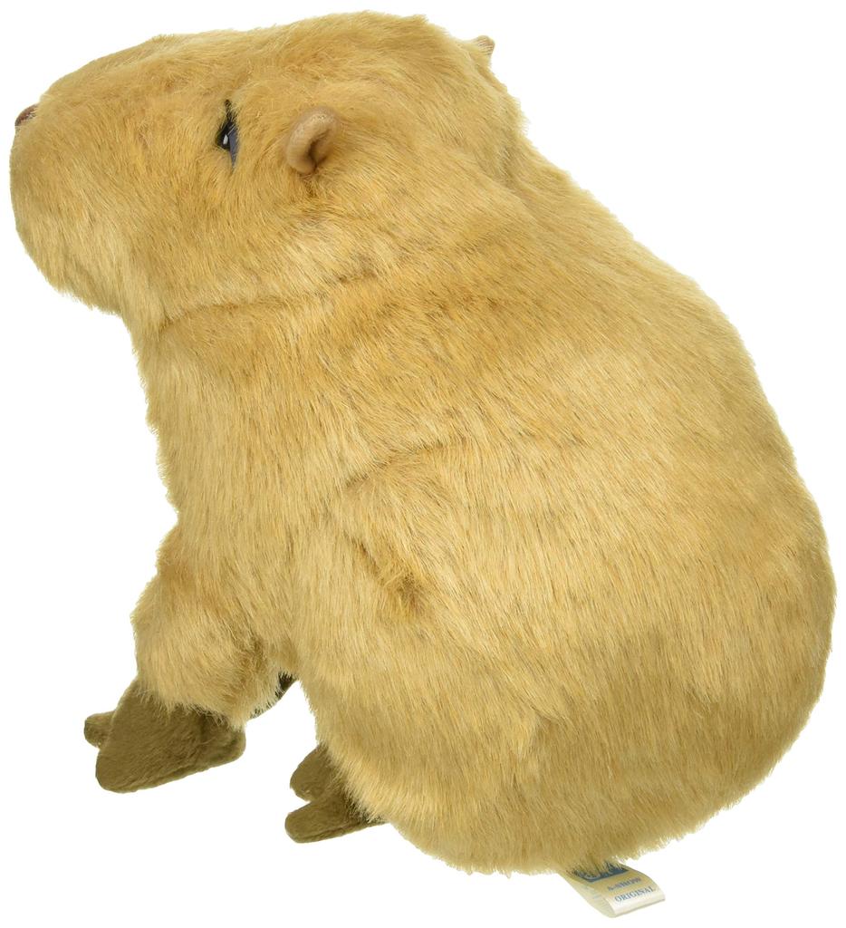 TST ADVANCE Capybara Plush 21cm 5488B Toy, Tall,