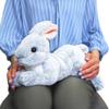 Hiza Usagi Plush Toy Gray Small P-3772