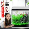 Glass Bowl Aquarium Fish Tank Living Room Vivarium Small Box Aquarium Fish Tank Office Home Desktop Peceras Fish Products