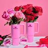 Stanley Vacuum Insulated Stainless Steel Straw Tumbler
