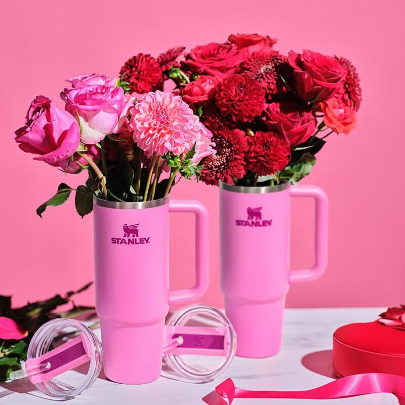 Stanley Vacuum Insulated Stainless Steel Straw Tumbler