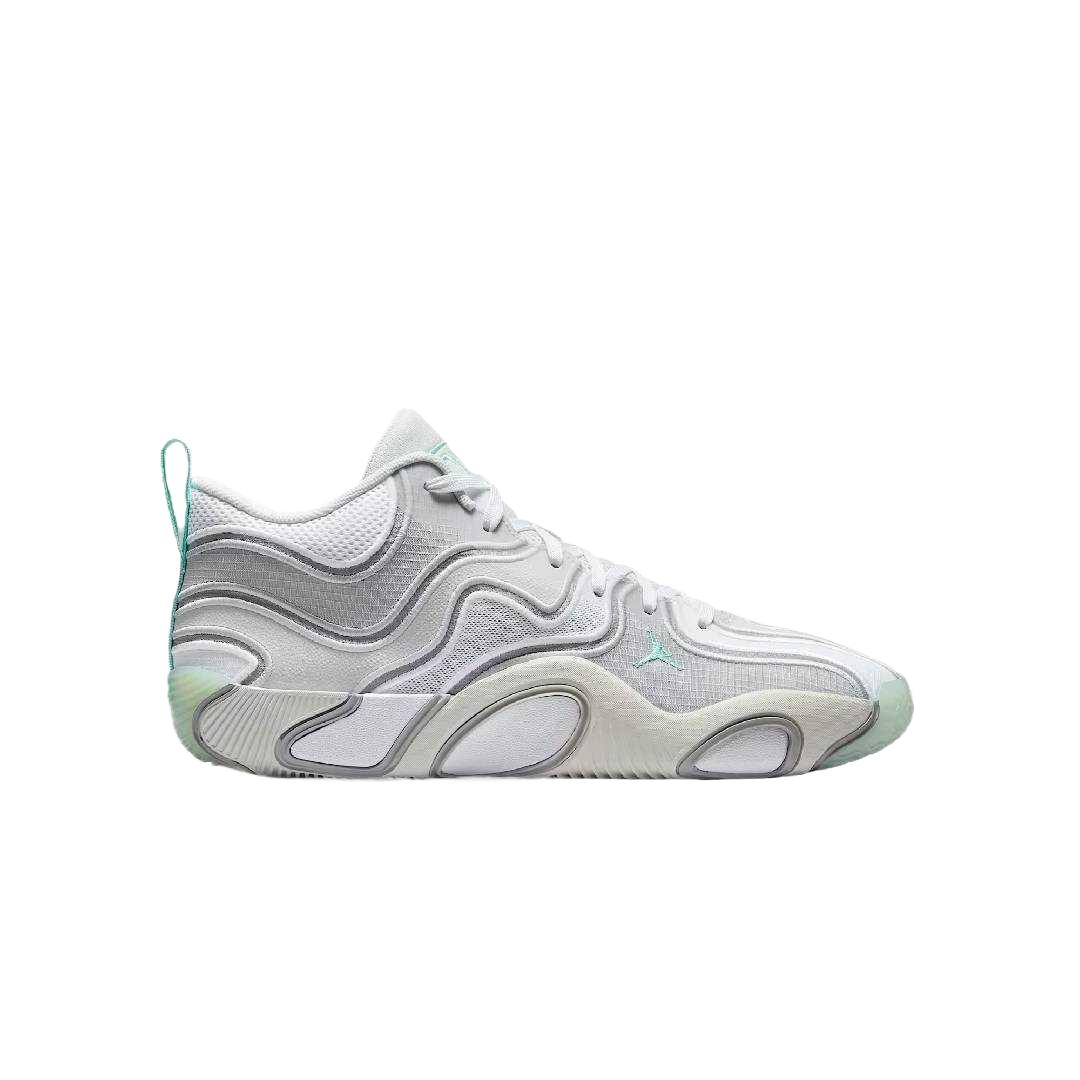Баскетбольные кроссовки Jordan Tatum 3 Low top Мужские Серебристые FZ6601-005 44.5