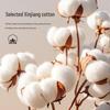 100% Xinjiang Cotton All-Season Quilt